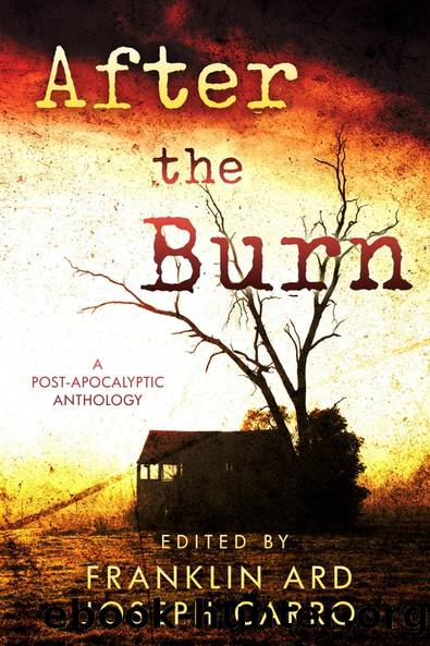 After the Burn by Franklin Ard
