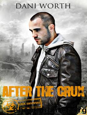 After the Crux by Dani Worth