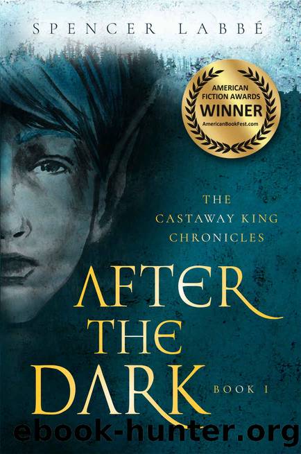 After the Dark by Spencer Labbe