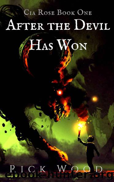 After the Devil Has Won by Rick Wood