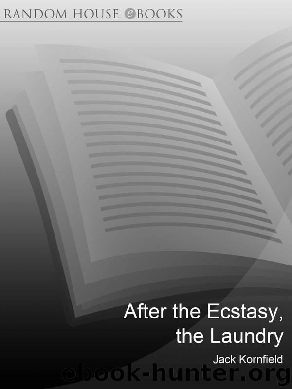 After the Ecstasy, the Laundry by Jack Kornfield