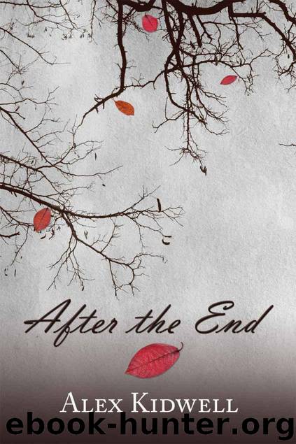 After the End by Kidwell Alex