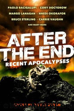 After the End: Recent Apocalypses (2013) by Paula Guran