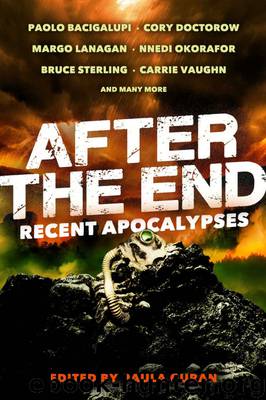 After the End: Recent Apocalypses by Paula Guran