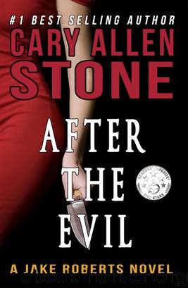 After the Evil – A Jake Roberts Novel (Book 1) by Cary Allen Stone