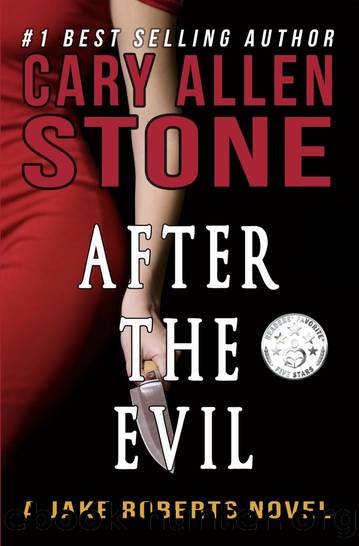 After the Evil: A Jake Roberts Novel by Cary Allen Stone