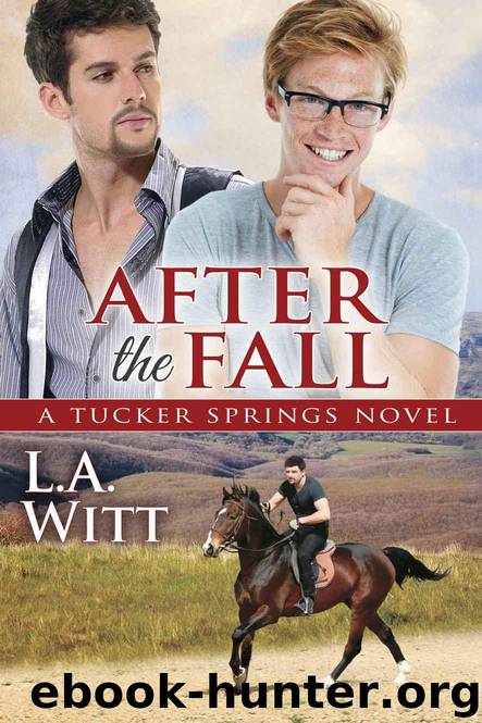After the Fall (Tucker Springs) by Witt L.A