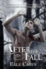 After the Fall by Elle Casey