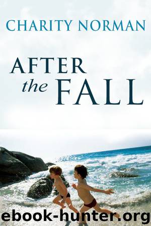 After the Fall by Norman Charity
