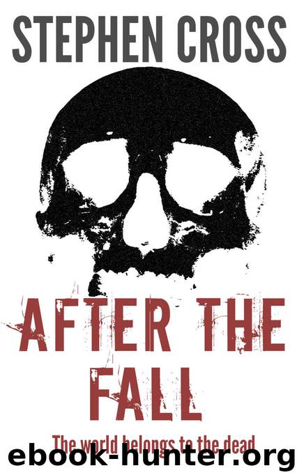 After the Fall by Stephen Cross & Stephen Cross
