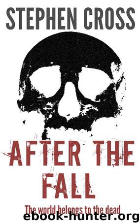 After the Fall by Stephen Cross