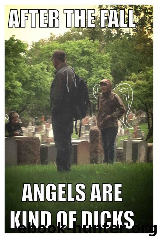 After the Fall, Angels Are Kind of Dicks by Kay Kinghammer & Meghan Heritage & Nicole Domiguez & Danny Rosen & Wendy Taylor Carlisle & James Dorr & Katie Karambelas & Shawn Aveningo & Mercedes Webb-Pullman & Lauren Stone