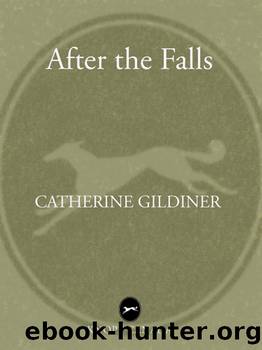 After the Falls by Catherine Gildiner