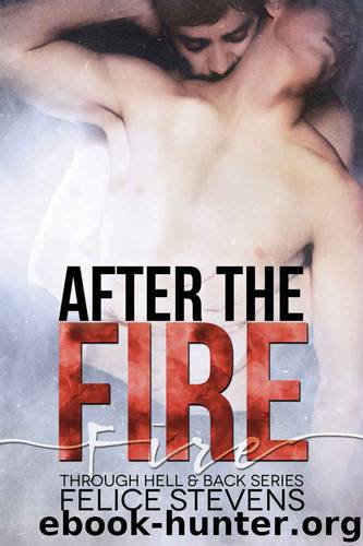 After the Fire (Through Hell and Back Book 2) by Felice Stevens