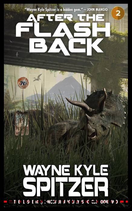 After the Flashback by Wayne Kyle Spitzer