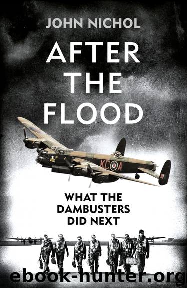 After the Flood by John Nichol