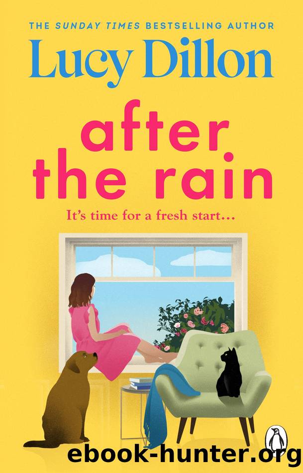 After the Rain by Lucy Dillon