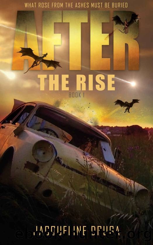 After the Rise: Book 1 by Jacqueline Druga