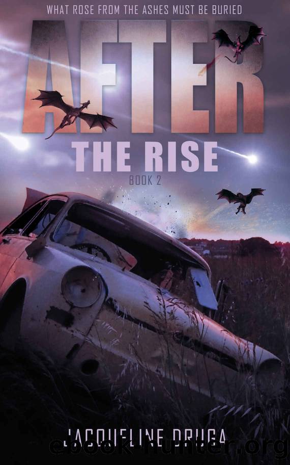 After the Rise: Book 2 by Jacqueline Druga