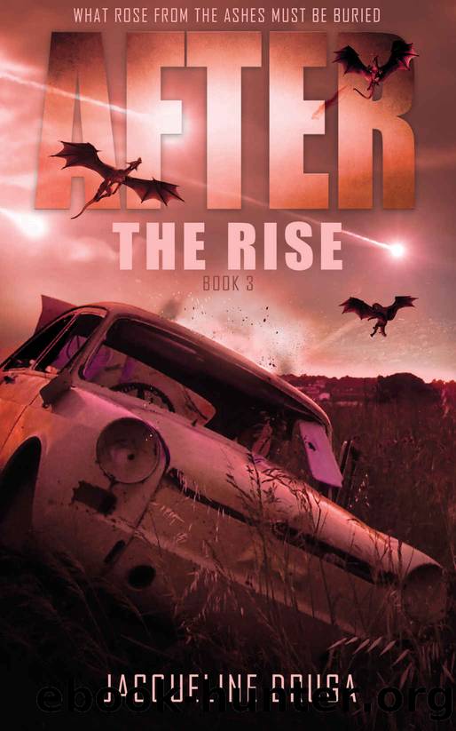 After the Rise: Book 3 by Jacqueline Druga