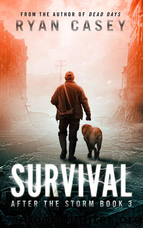 After the Storm (Book 3): Survival by Casey Ryan