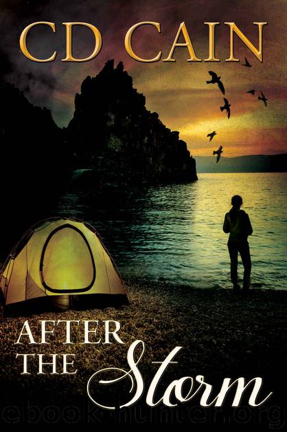 After the Storm (Chambers of the Heart Book 3) by C.D. Cain