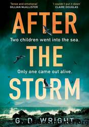 After the Storm by G. D. Wright