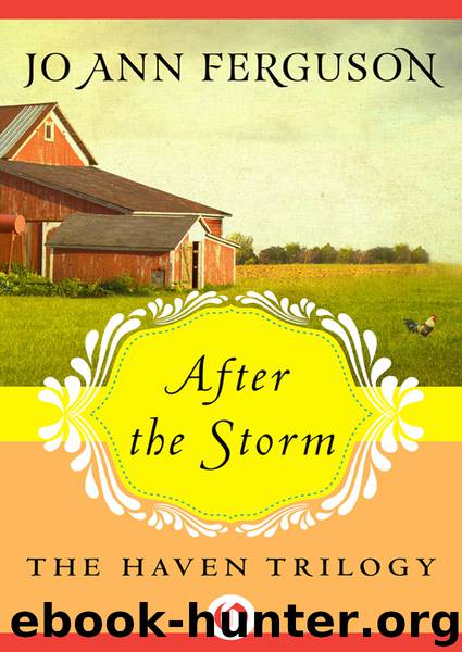 After the Storm by Jo Ann Ferguson