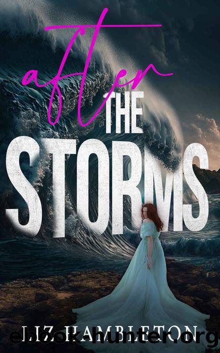 After the Storms (The Storm Series Book 3) by Liz Hambleton