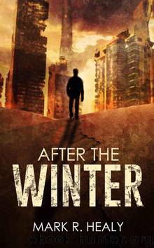 After the Winter (The Silent Earth, Book 1) by Healy Mark R