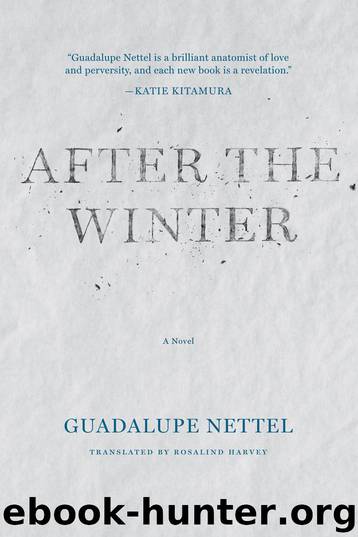 After the Winter by Guadalupe Nettel