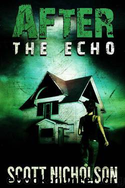 After: The Echo (AFTER post-apocalyptic series, Book 2) by Nicholson Scott