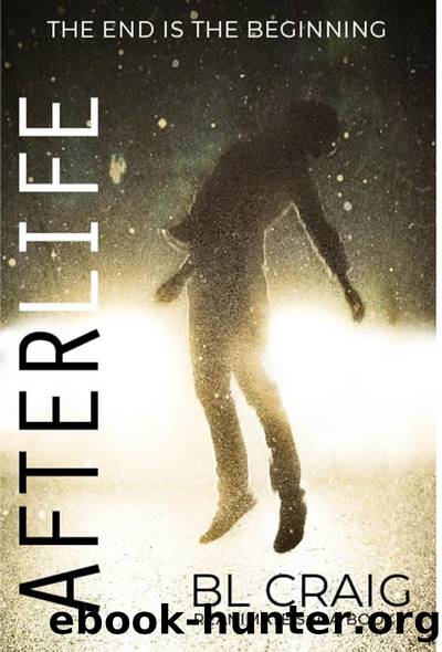 AfterLife by BL Craig