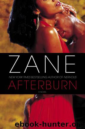 Afterburn: A Novel by Zane