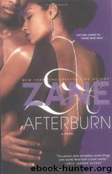Afterburn: a novel by Zane