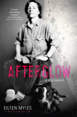 Afterglow (a dog memoir) by Eileen Myles