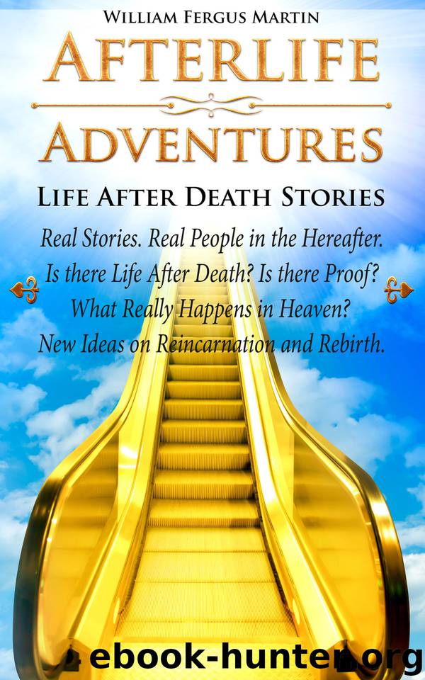 Afterlife Adventures by William Fergus Martin