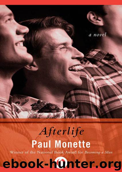 Afterlife by Paul Monette