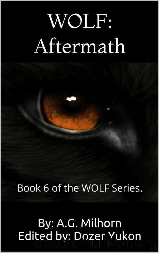 Aftermath by Anthony Milhorn