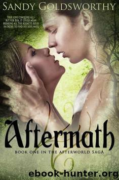Aftermath by Sandy Goldsworthy