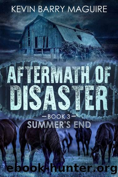 Aftermath of Disaster_Book 3 Summer's End by Kevin Barry Maguire