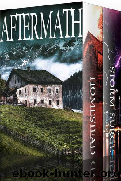 Aftermath: EMP Post Apocalyptic Survival Boxset by James Hunt