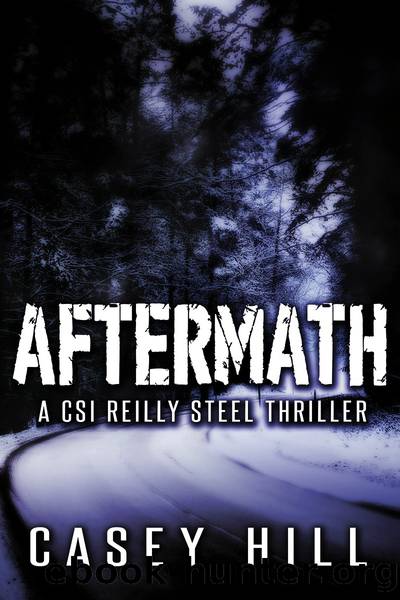Aftermath--CSI Reilly Steel #6 by Casey Hill