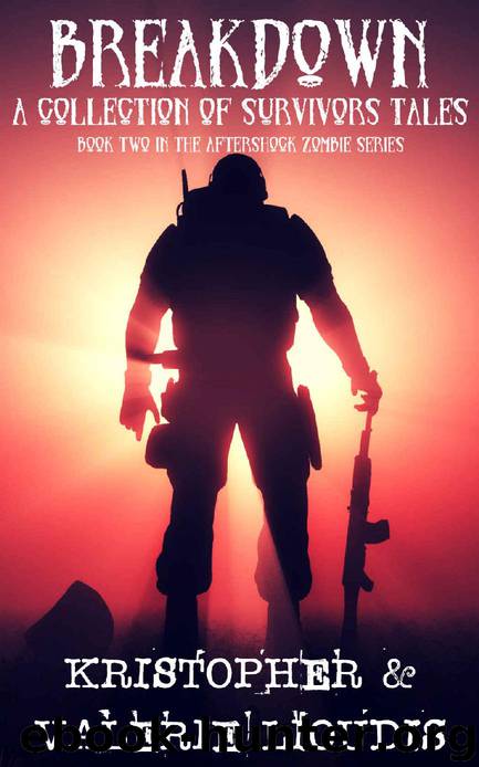 Aftershock Zombie Series (Book 2): Breakdown (A Collection of Survivors Tales) by Lioudis Kristopher & Valerie