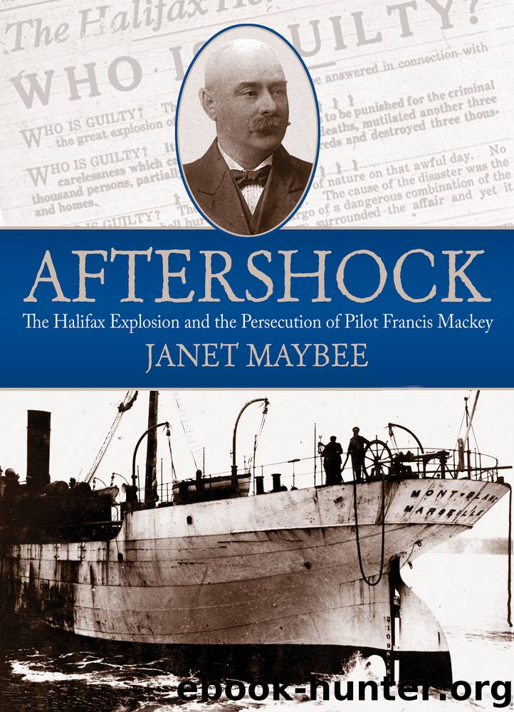 Aftershock by Janet Maybee