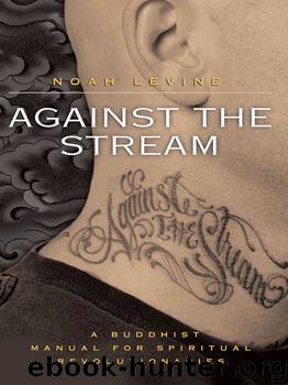 Against the Stream by Noah Levine