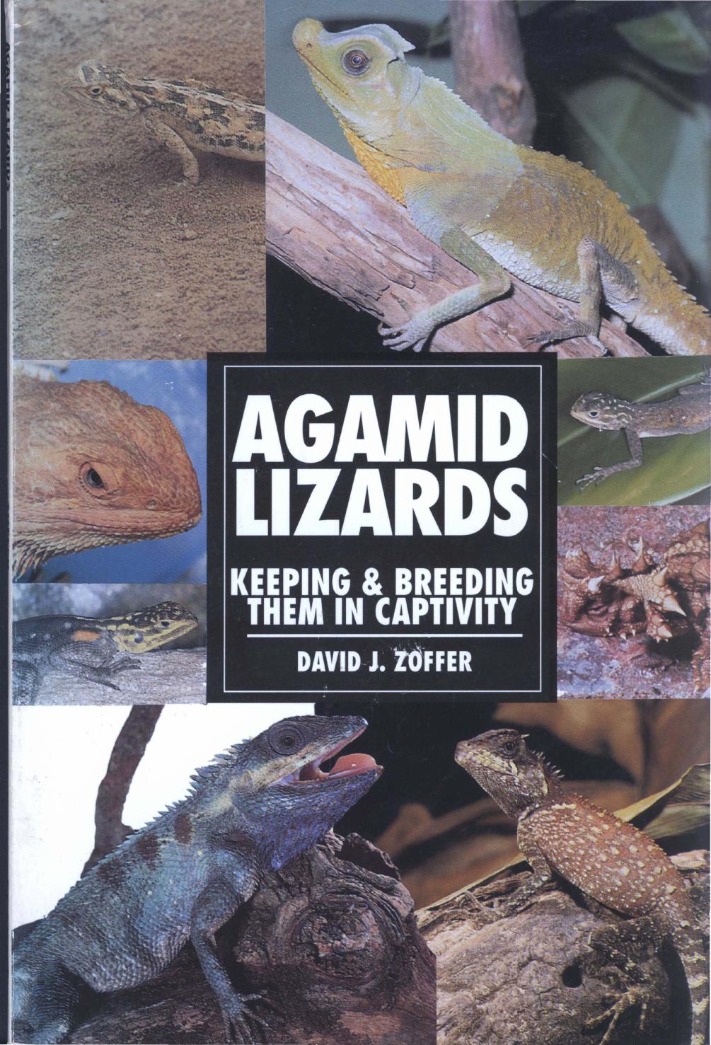 Agamid Lizards: Keeping & Breeding Them in Captivity (Herpetology series) by David J. Zoffer