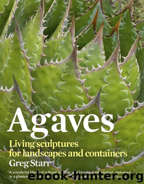 Agaves by Greg Starr
