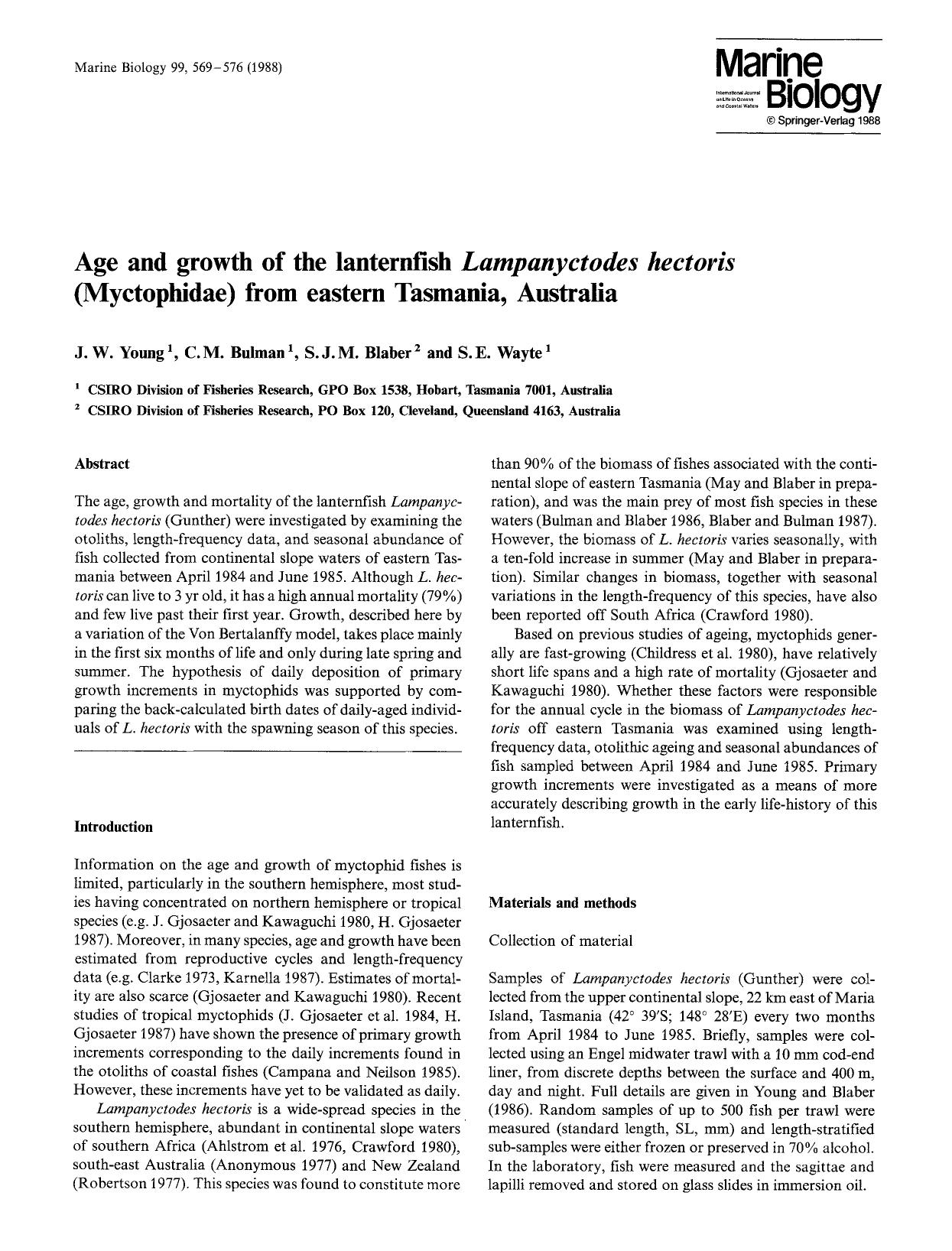 Age and growth of the lanternfish <Emphasis Type="Italic">Lampanyctodes hectoris<Emphasis> (Myctophidae) from eastern Tasmania, Australia by Unknown