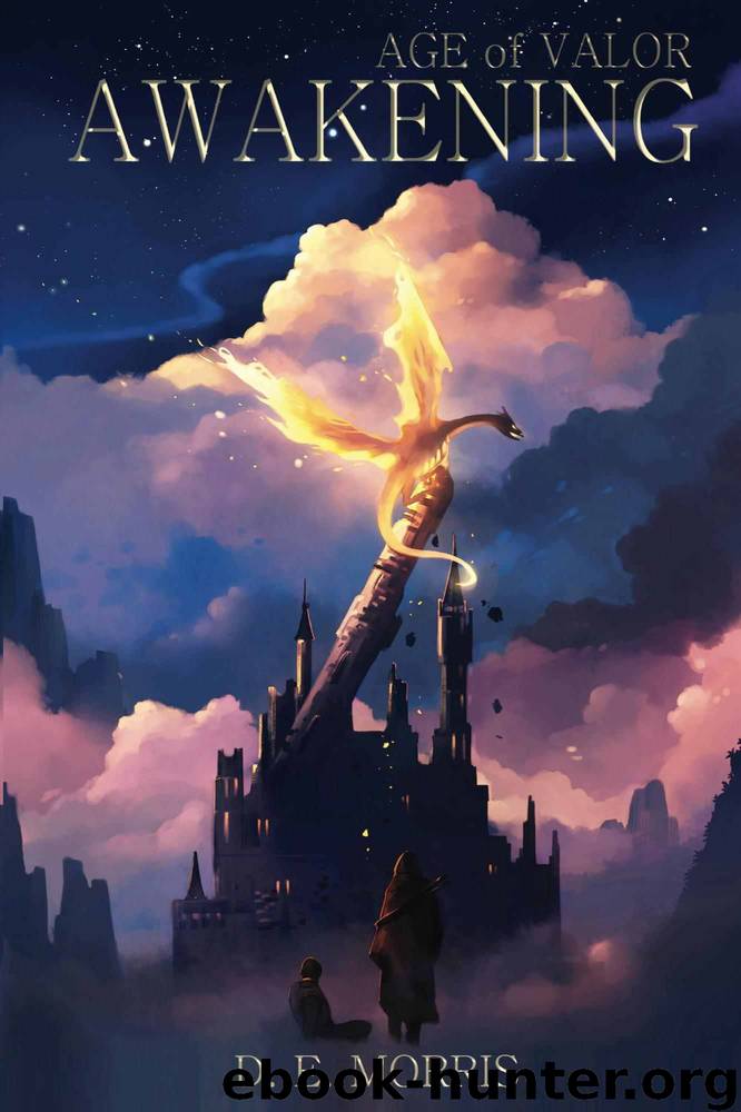 Age of Valor: Awakening by D. E. Morris